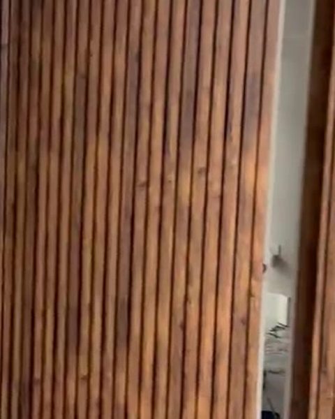 Puerta secreta escondida en una pared de paneles WPC